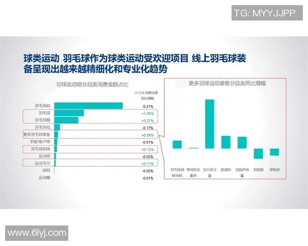 北京羽毛球队意识表现的数据分析与提升策略探讨 北京羽毛球队意识表现的数据分析与提升策略探讨