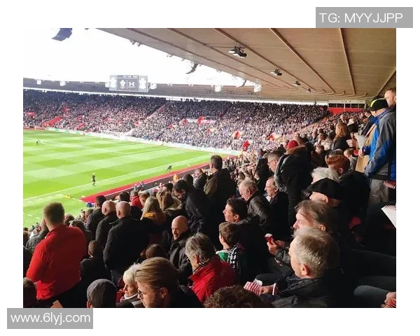 激情四溢的足球美洲赛揭幕各国球队争夺荣耀与梦想的舞台